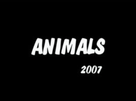 Animals2007